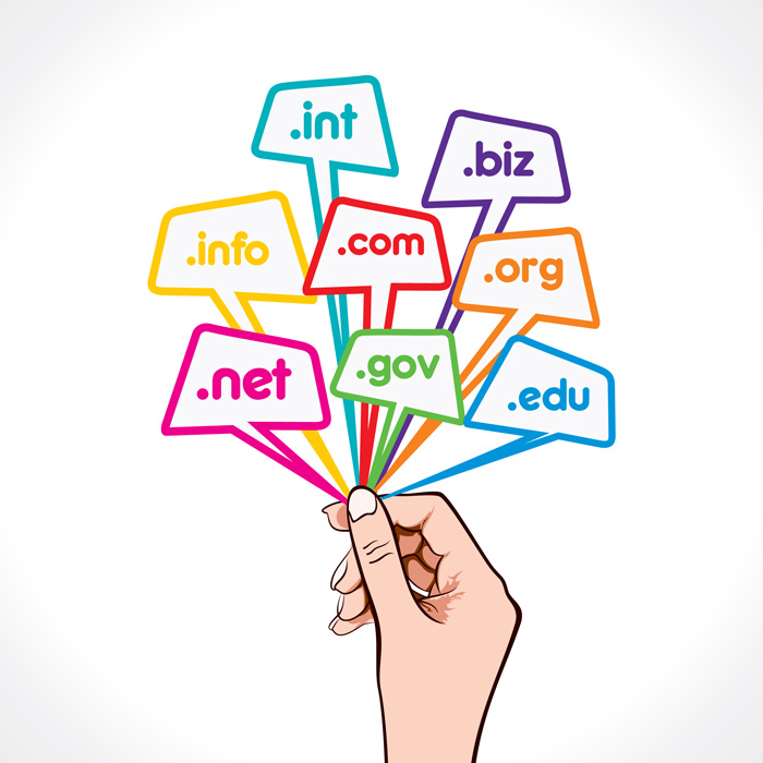 Selecting a domain name