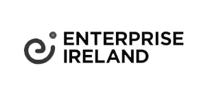 SEO Ireland - Enterprise Ireland